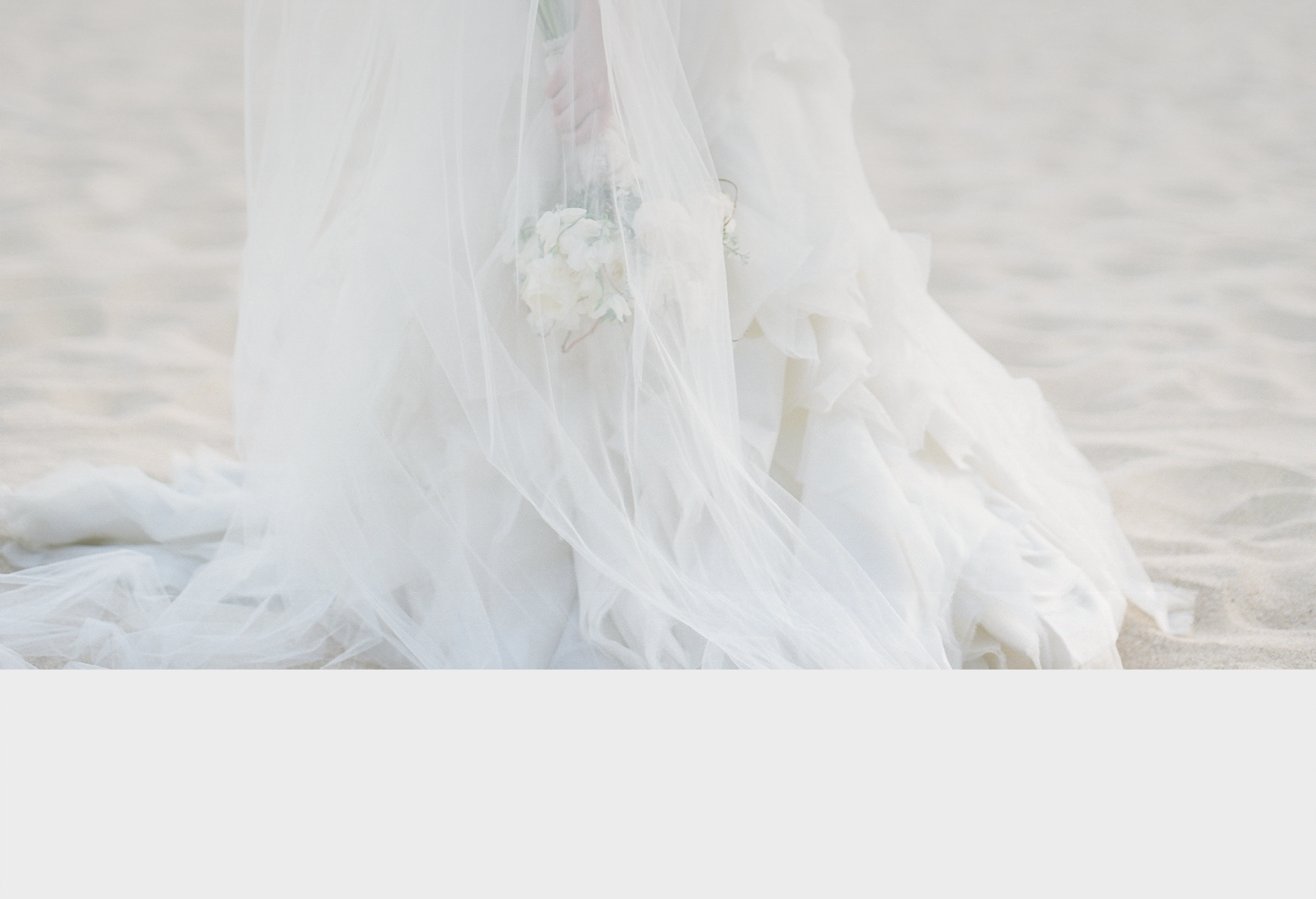 Banner.png