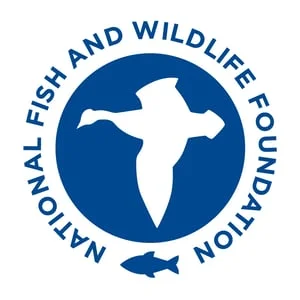 NFWF Announces $700,000 in Grants to Help At-Risk Aquatic Species in the Southeast