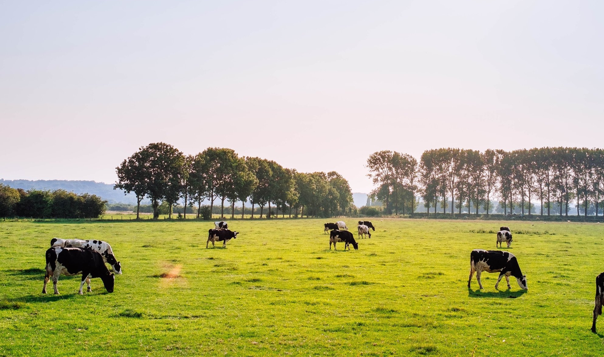 Agricultural Center for Rescue &amp; Education