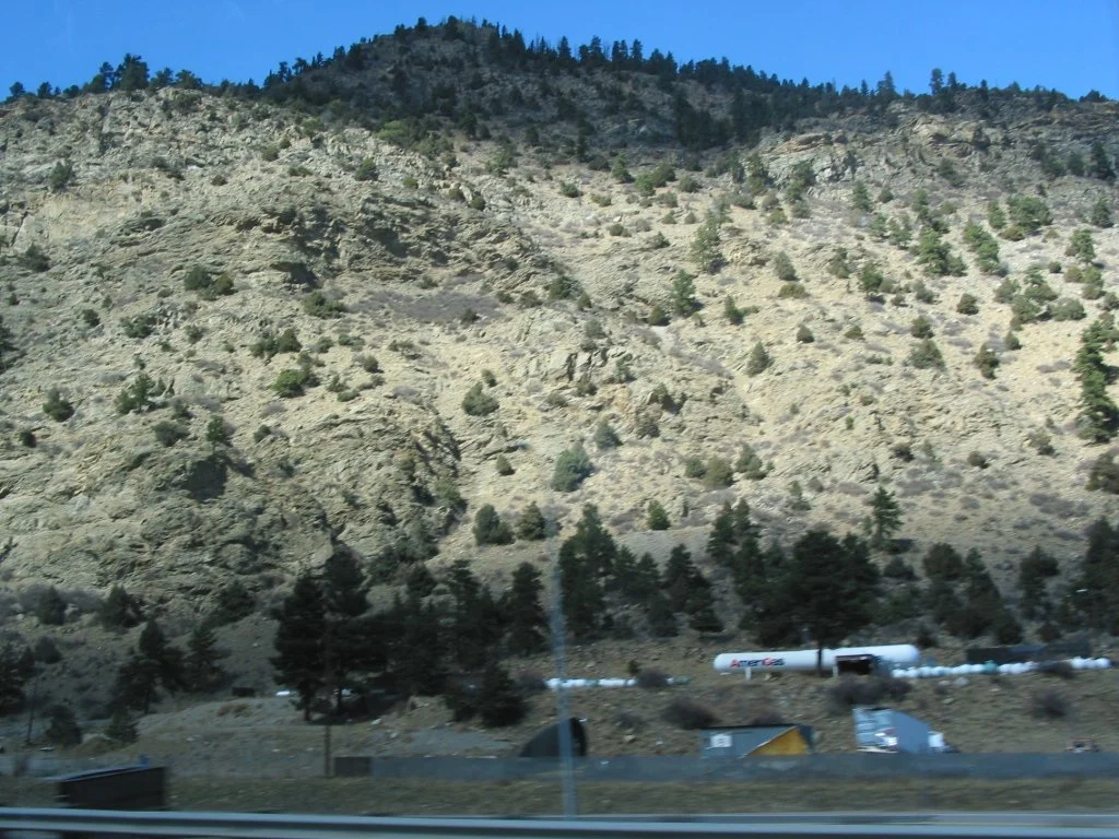 100-0021_IMG.JPG