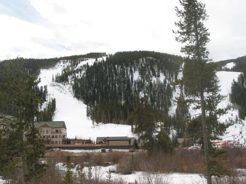 100-0003_IMG (3).JPG