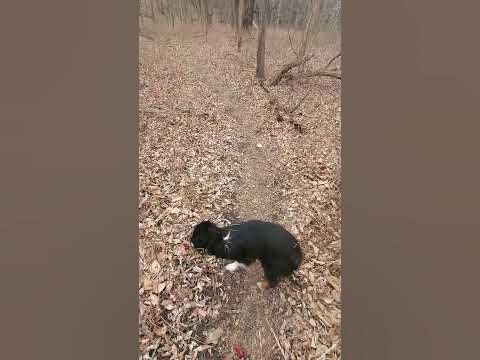 Lawrence Nature Park Trails (1)