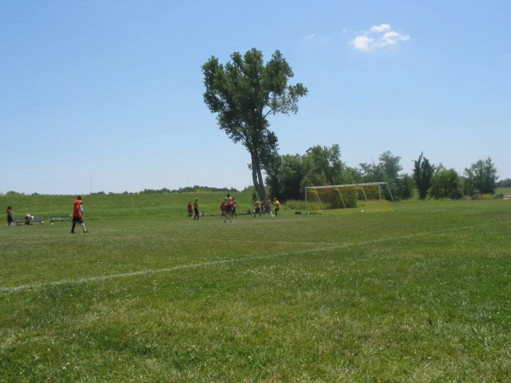 100-0024_IMG (2).JPG
