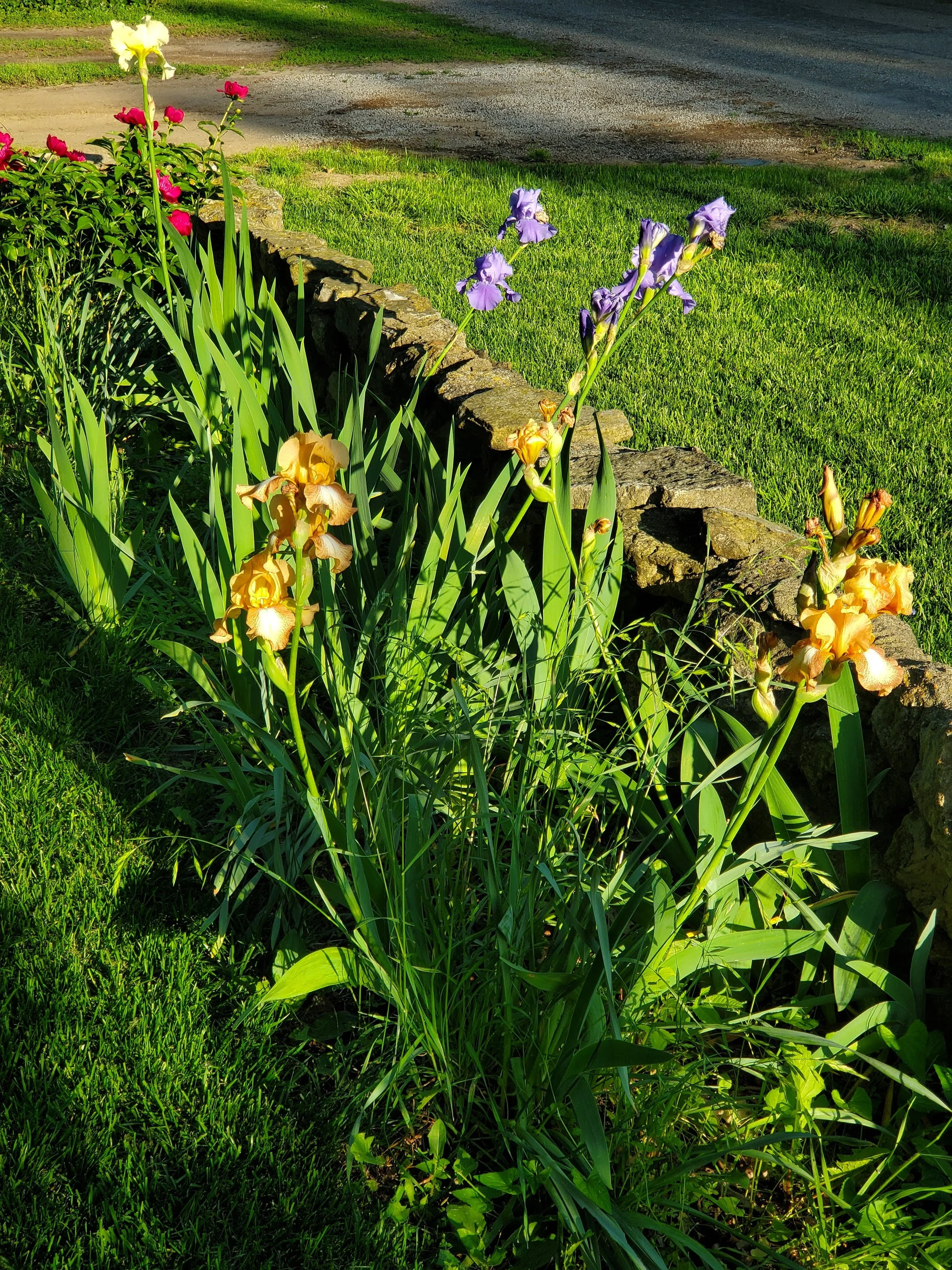 20190517_075158.jpg