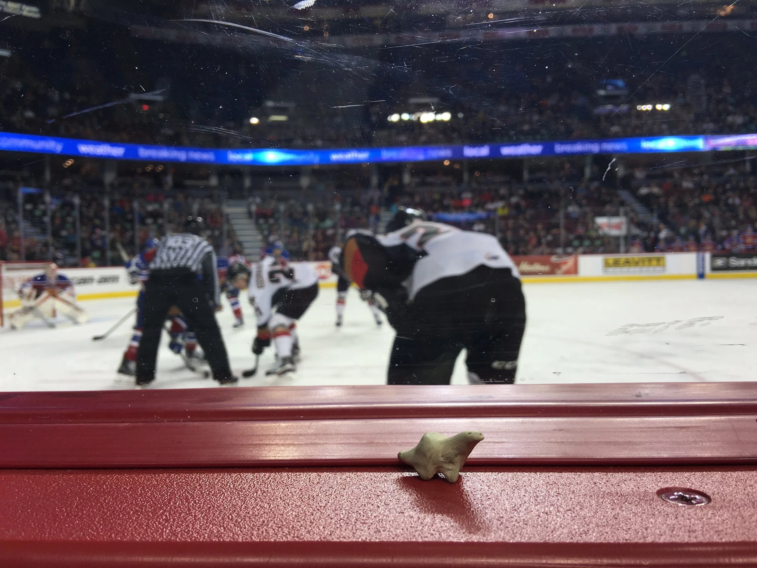  Calgary Saddledome, Alberta 