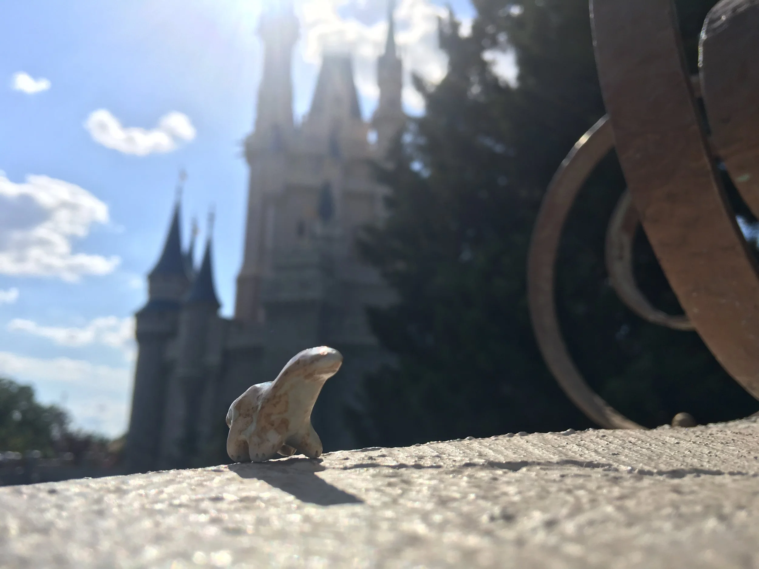  The Magic Kingdom, Disney World 