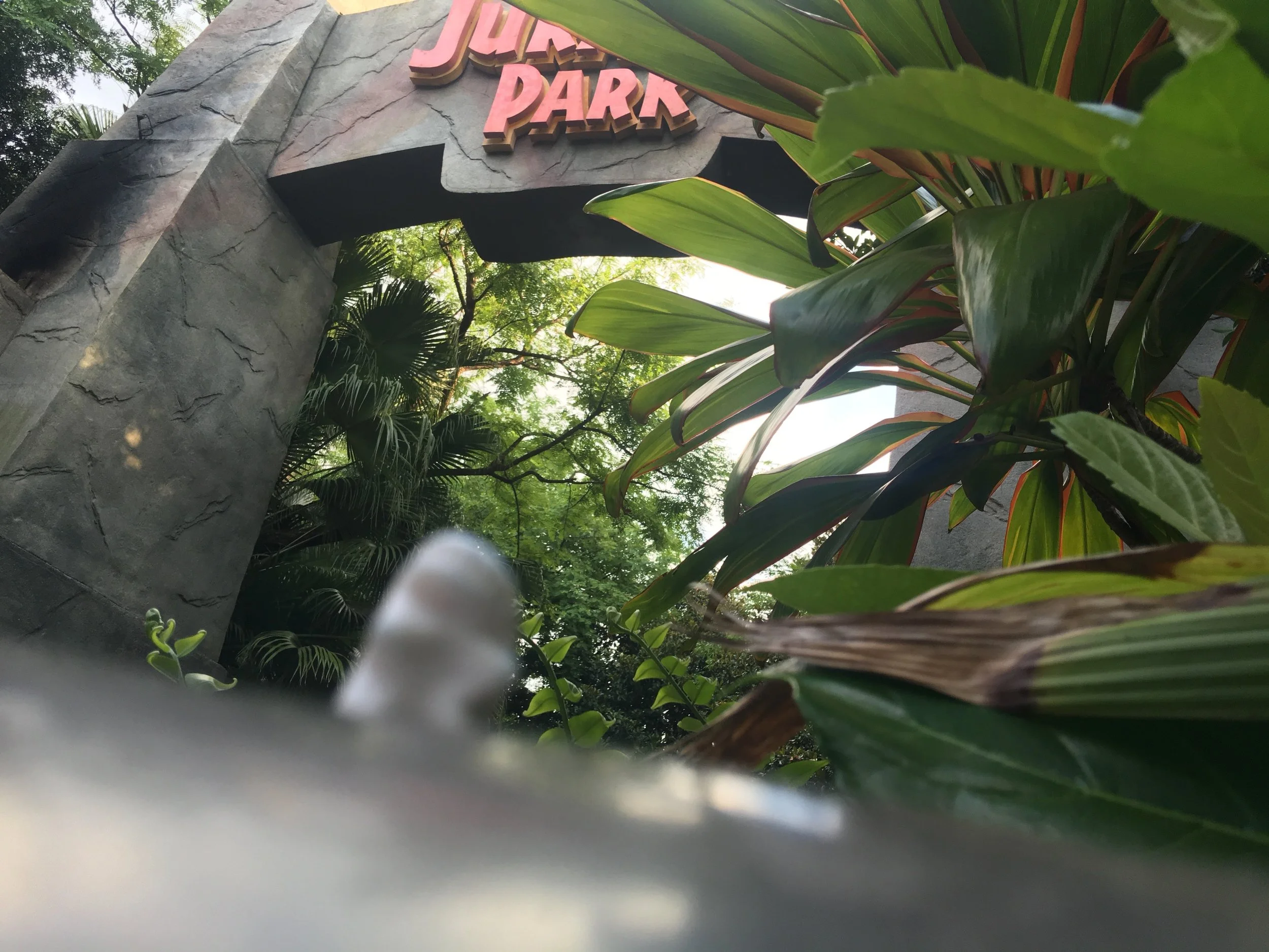  Jurassic Park, Florida 