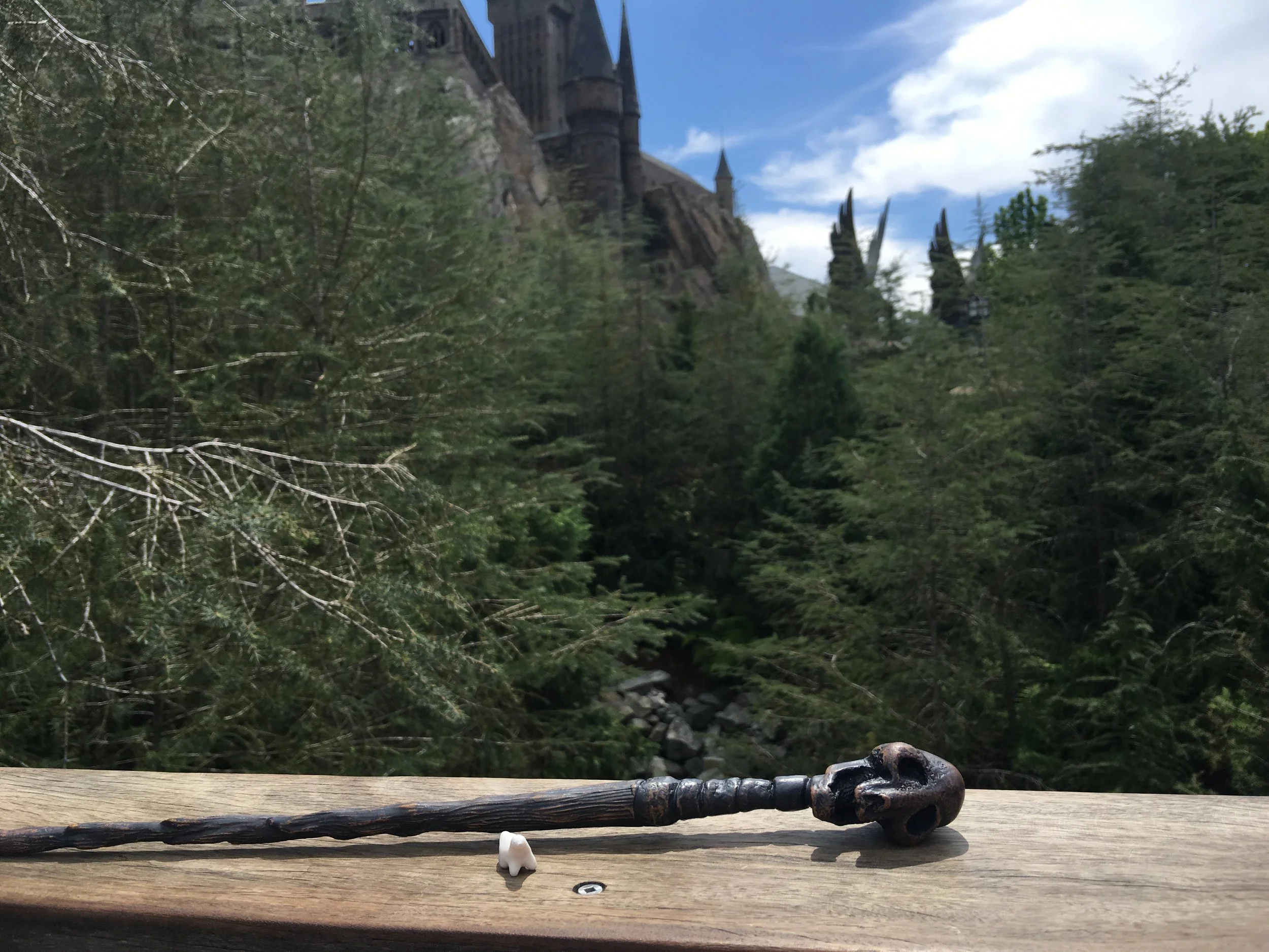  Hogwarts Castle, Universal Studios, Florida 
