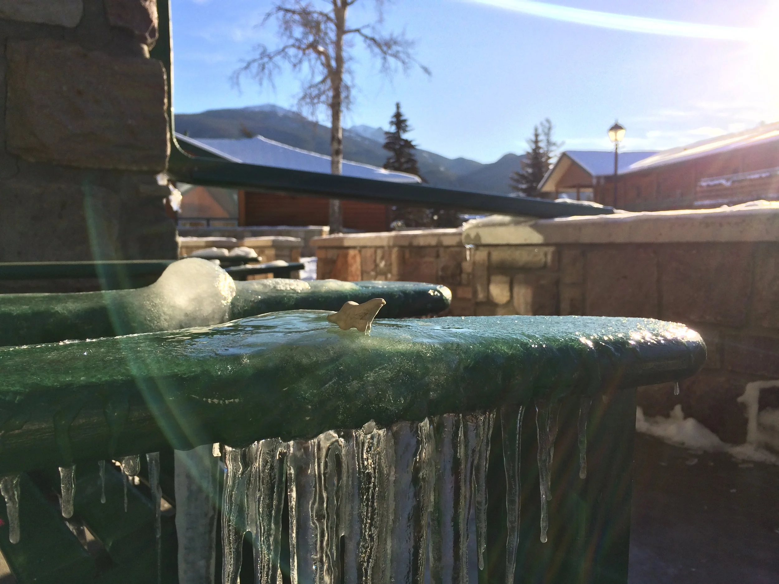  Jasper, AB 