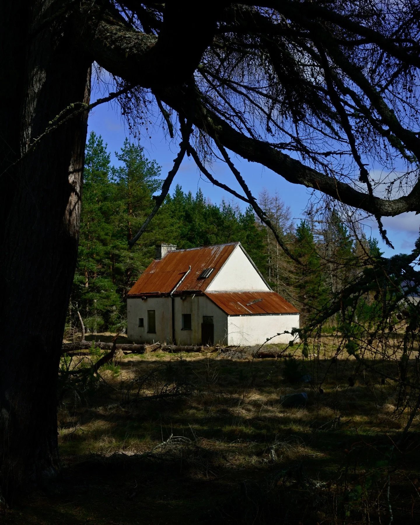 I love this old derelict cottage that sits at the bottom of Glen Quoich with its red tin roof contrasting nicely against the greens of the surrounding pines. One day it&rsquo;d be lovely to see it restored and in use, but for now it sits quietly by t