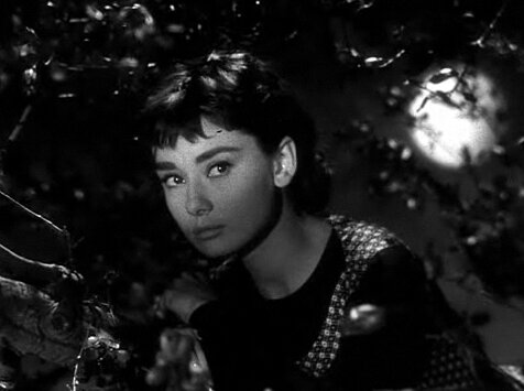 Audrey