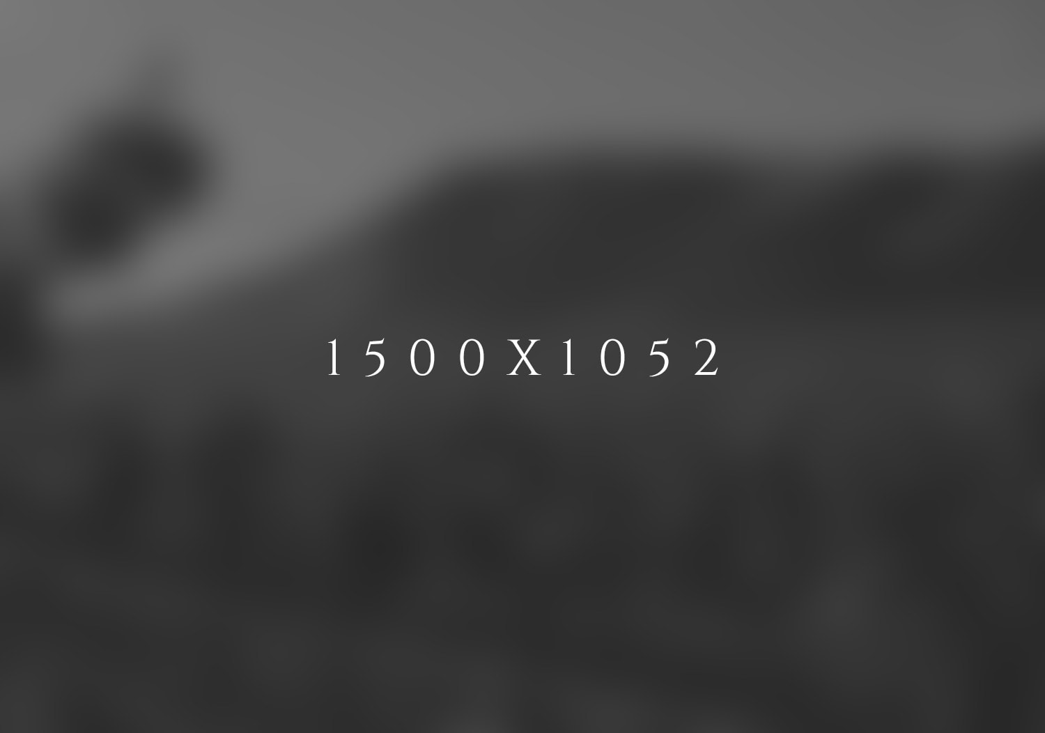 1500x1052-min - Copy (14).jpg