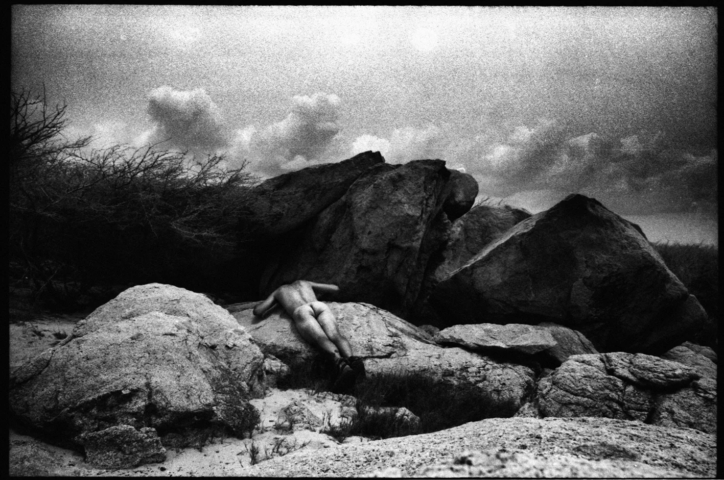 © Tobias Asser