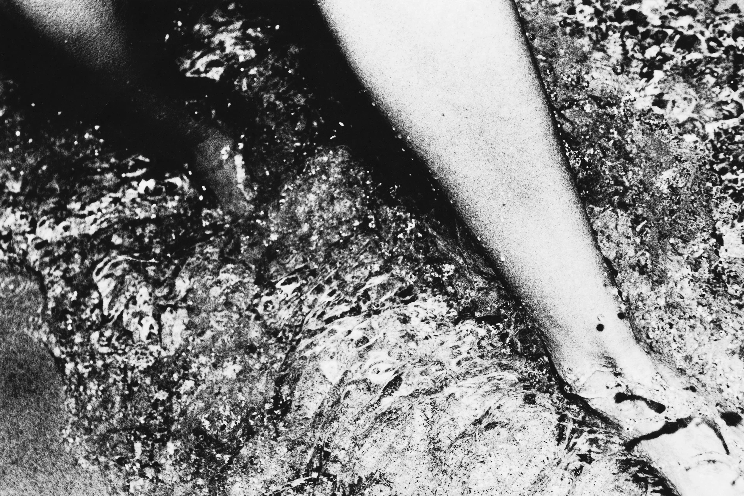 © Maaike Navon