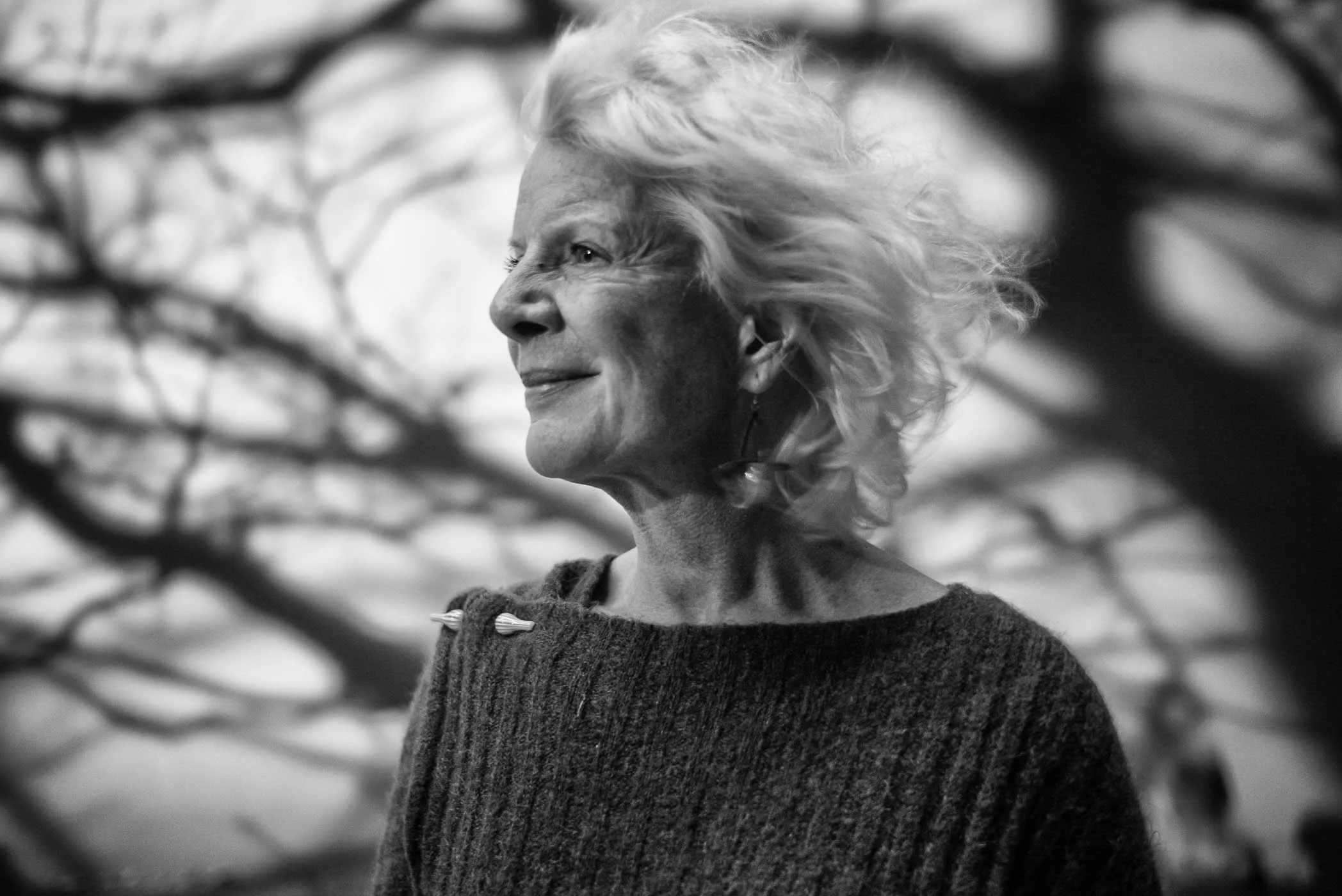 ‘Silver Stories’ © Irene van Nispen Kress