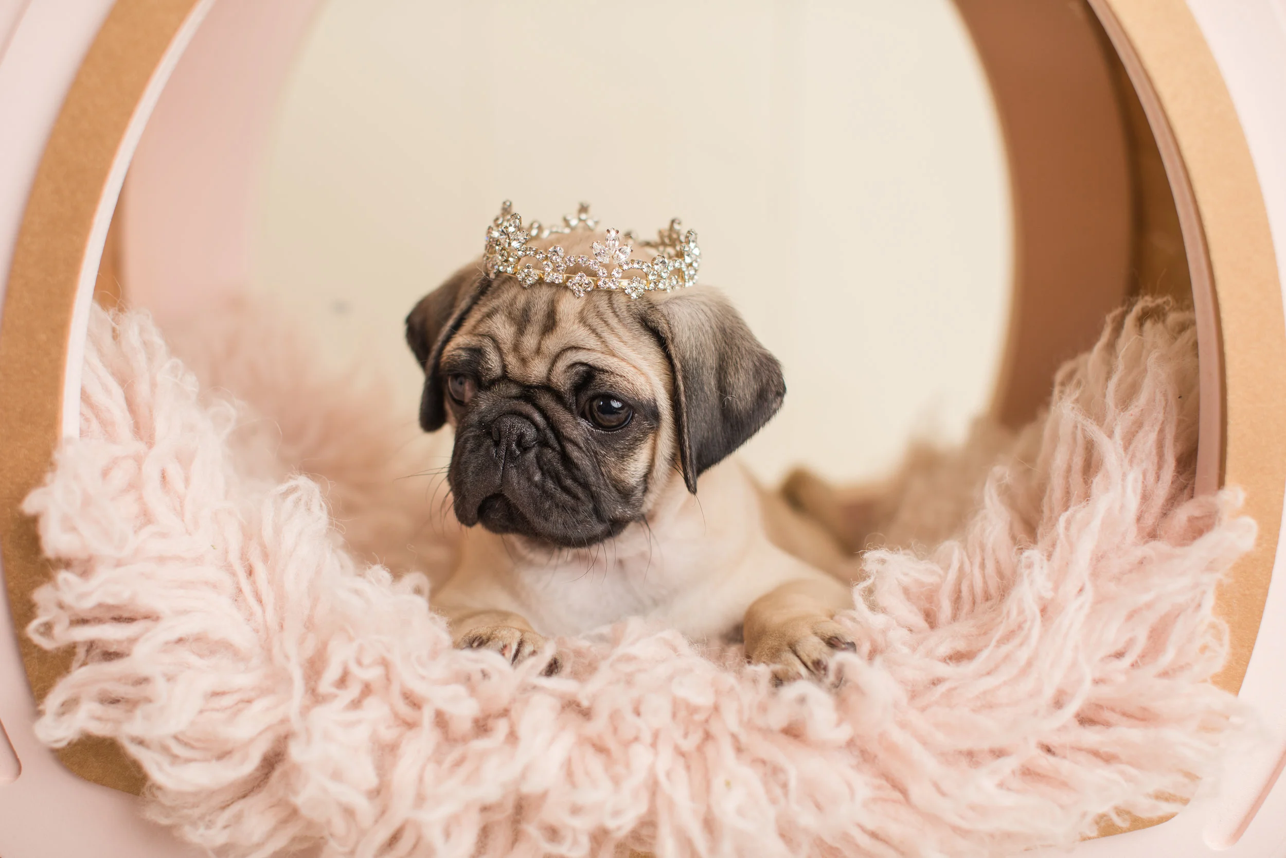 princess.jpg