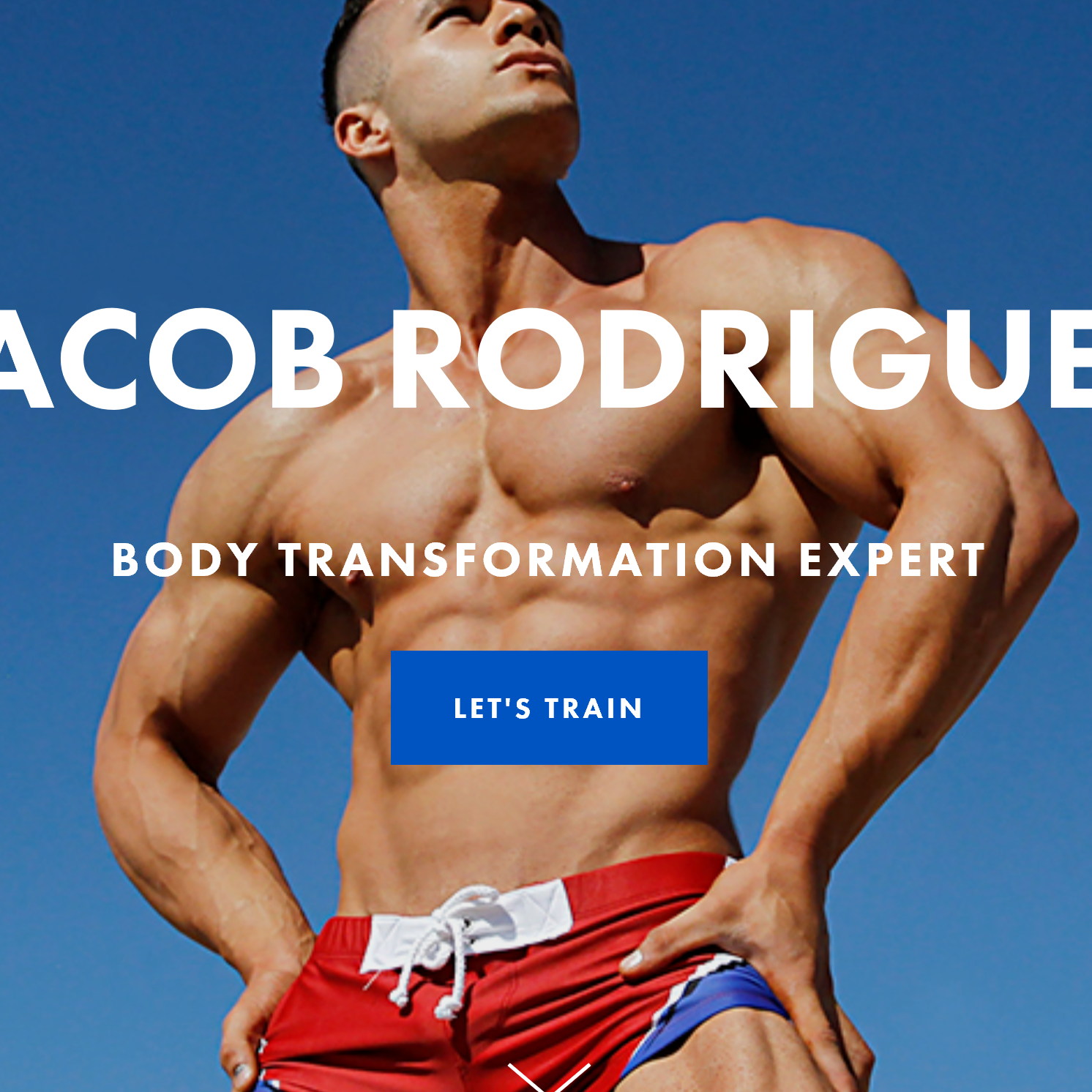 Website Design
