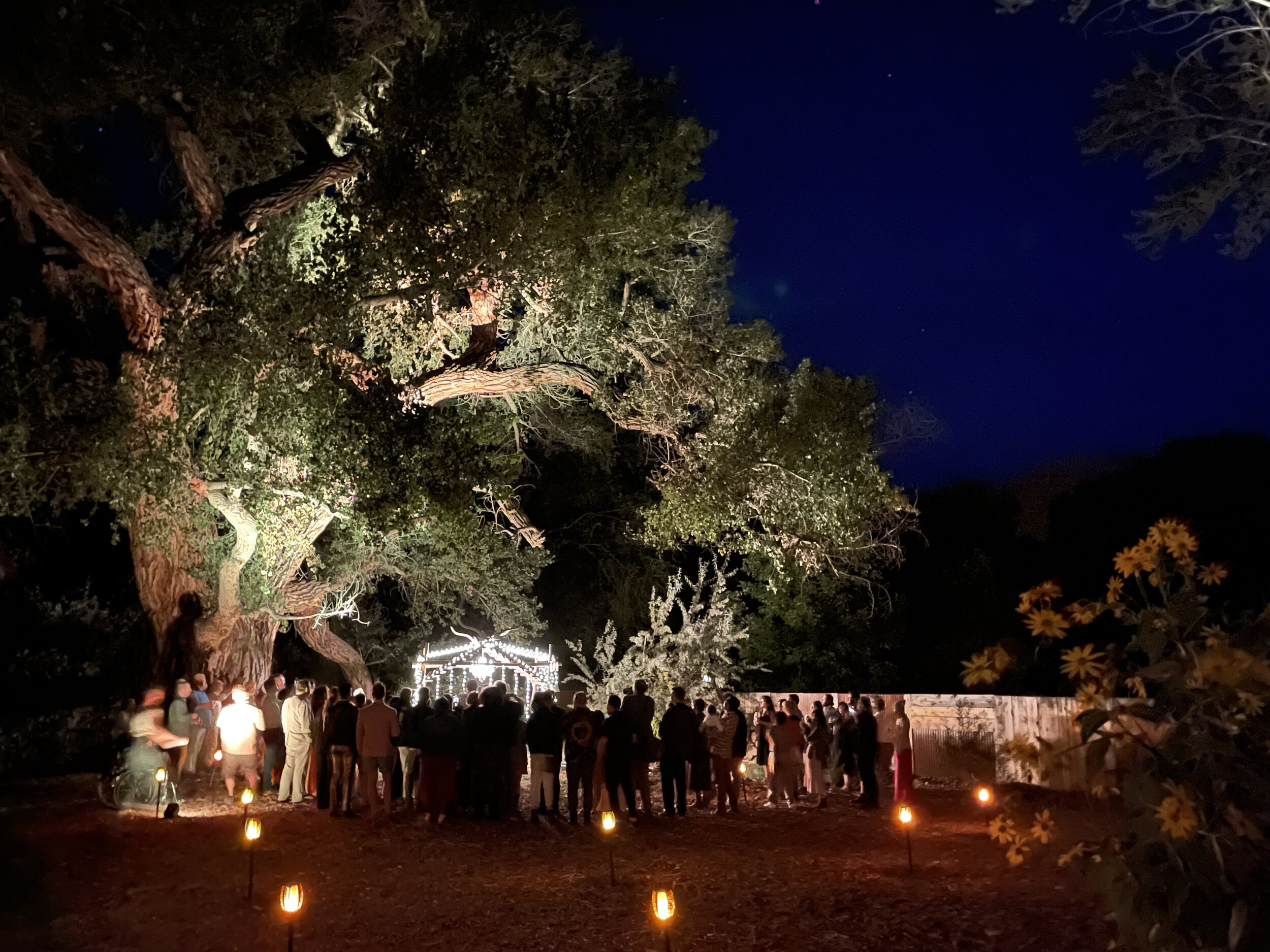 cottonwood temple full.jpg