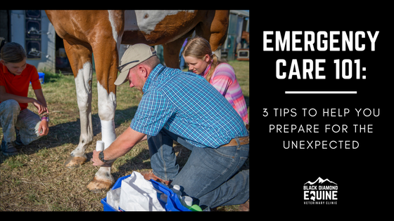 Emergency Care 101_3 Tips.png