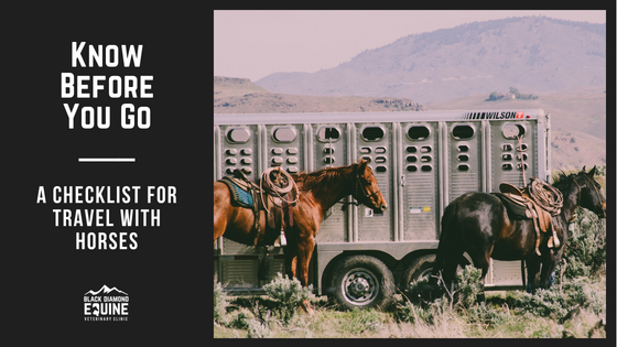 Know Before You Go: A Checklist for Travel with Horses