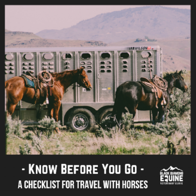 Travel tips.png