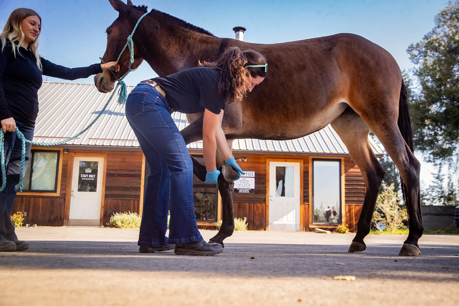 Ashley Kendall Photography - BDE 2026-263_websize.jpg