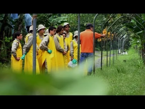 EARTH® University | WEG | Whole Foods Market