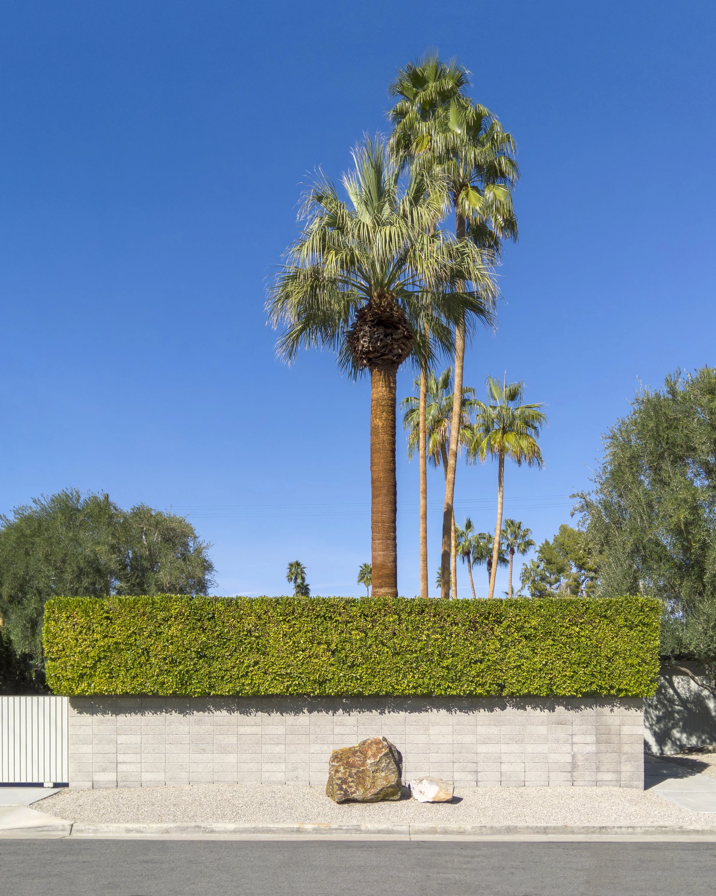 Rock - Paper - Palm Tree
