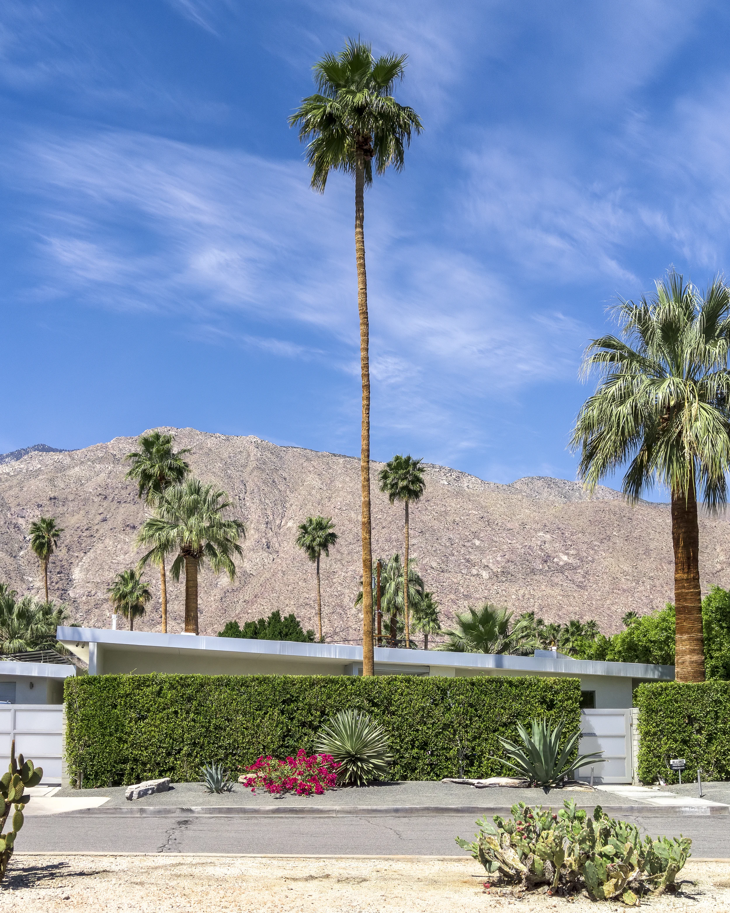 Palm Springs Morning
