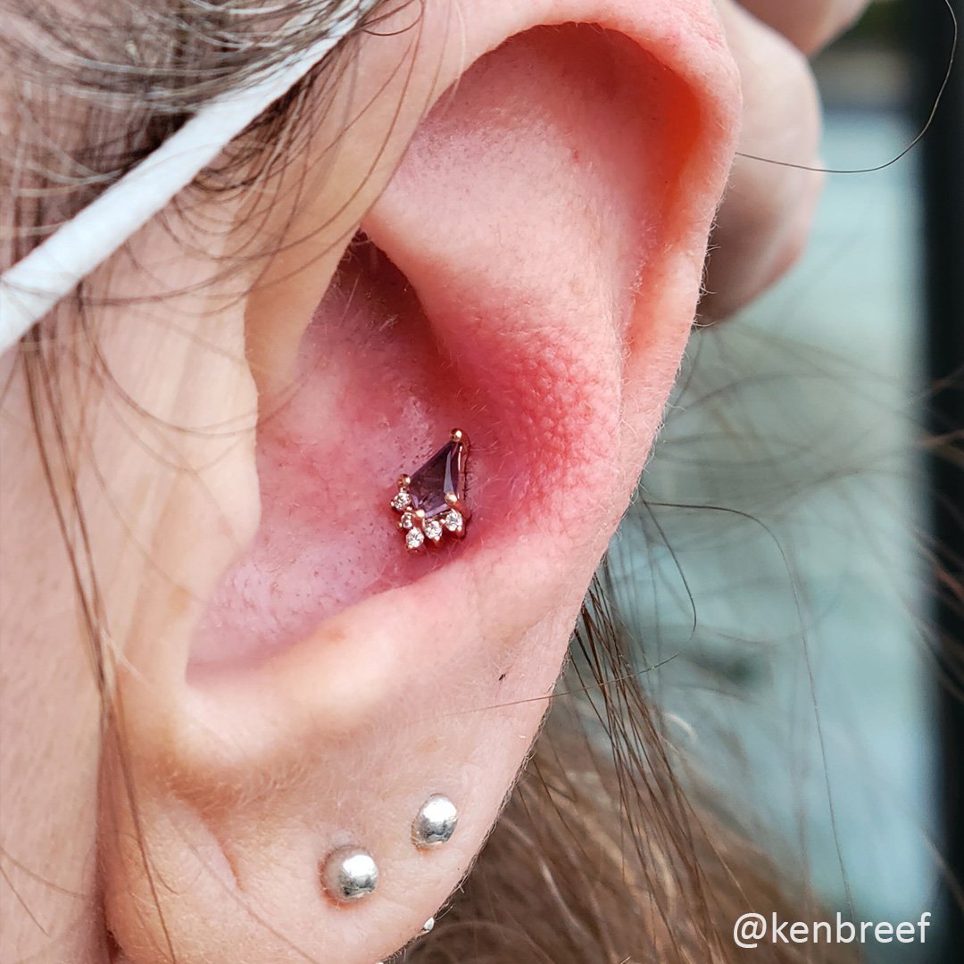 Conch Hoop Bvla Hoop Bvla Conch Outlet