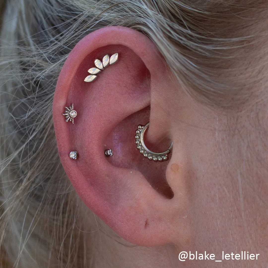 Bvla Daith Piercing Jewelry Near Me Bvla Bee Daith Daith Piercing