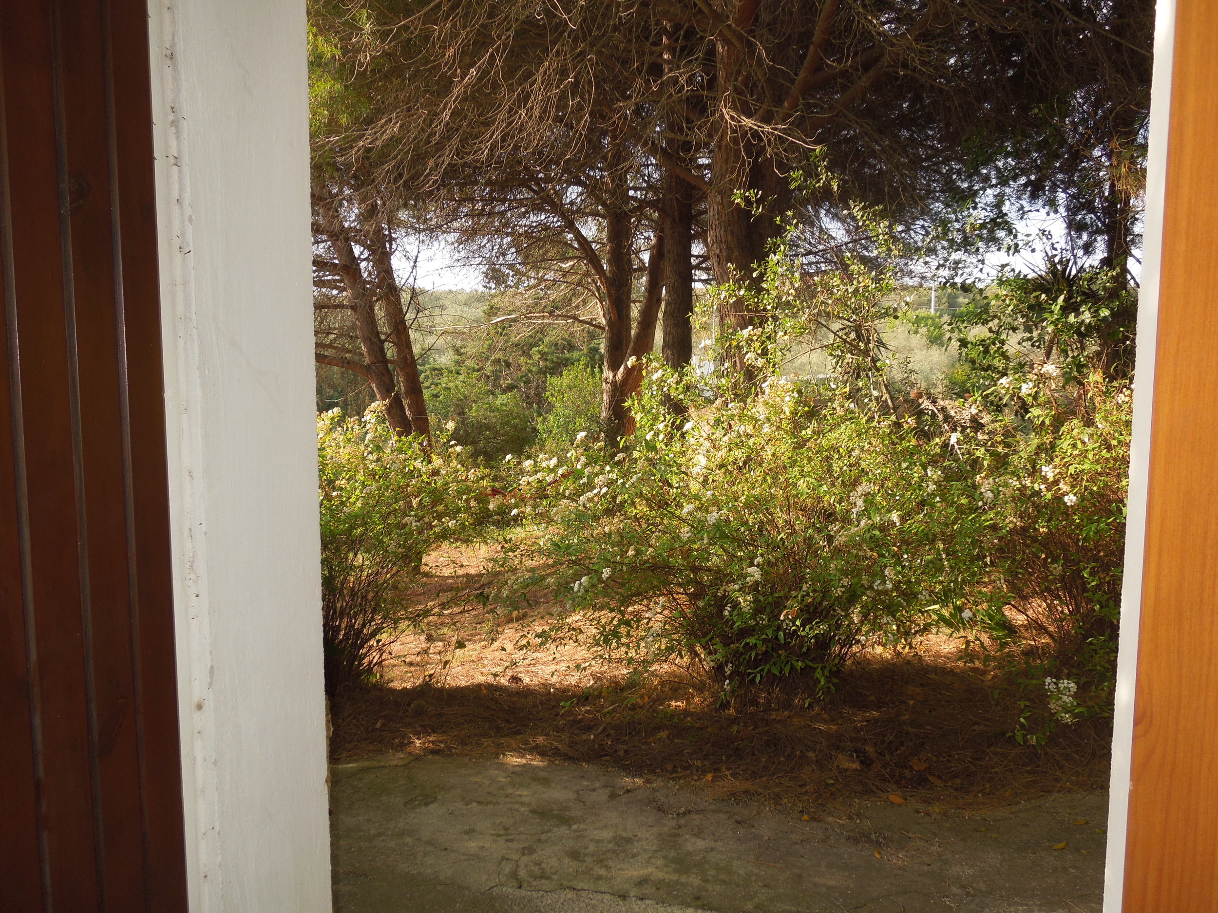 DSCN2487.jpg