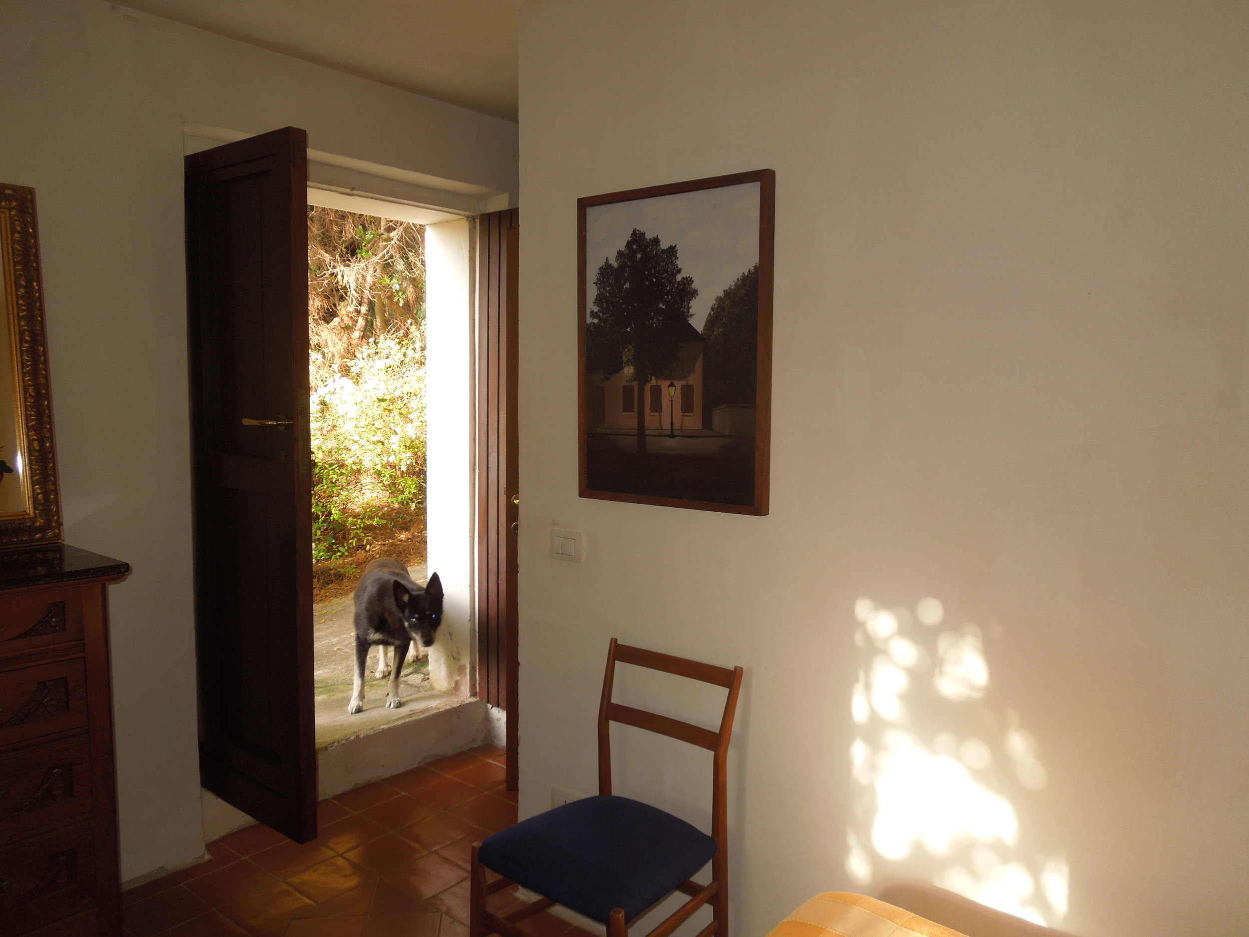 DSCN2507.jpg
