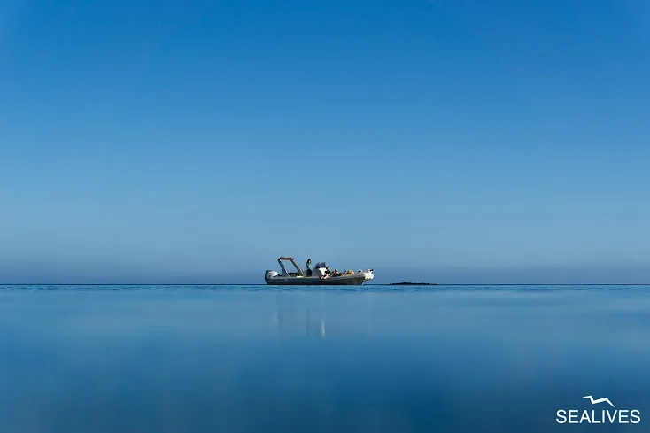 blu blue bleu blau blauw blå - Sardinian sea