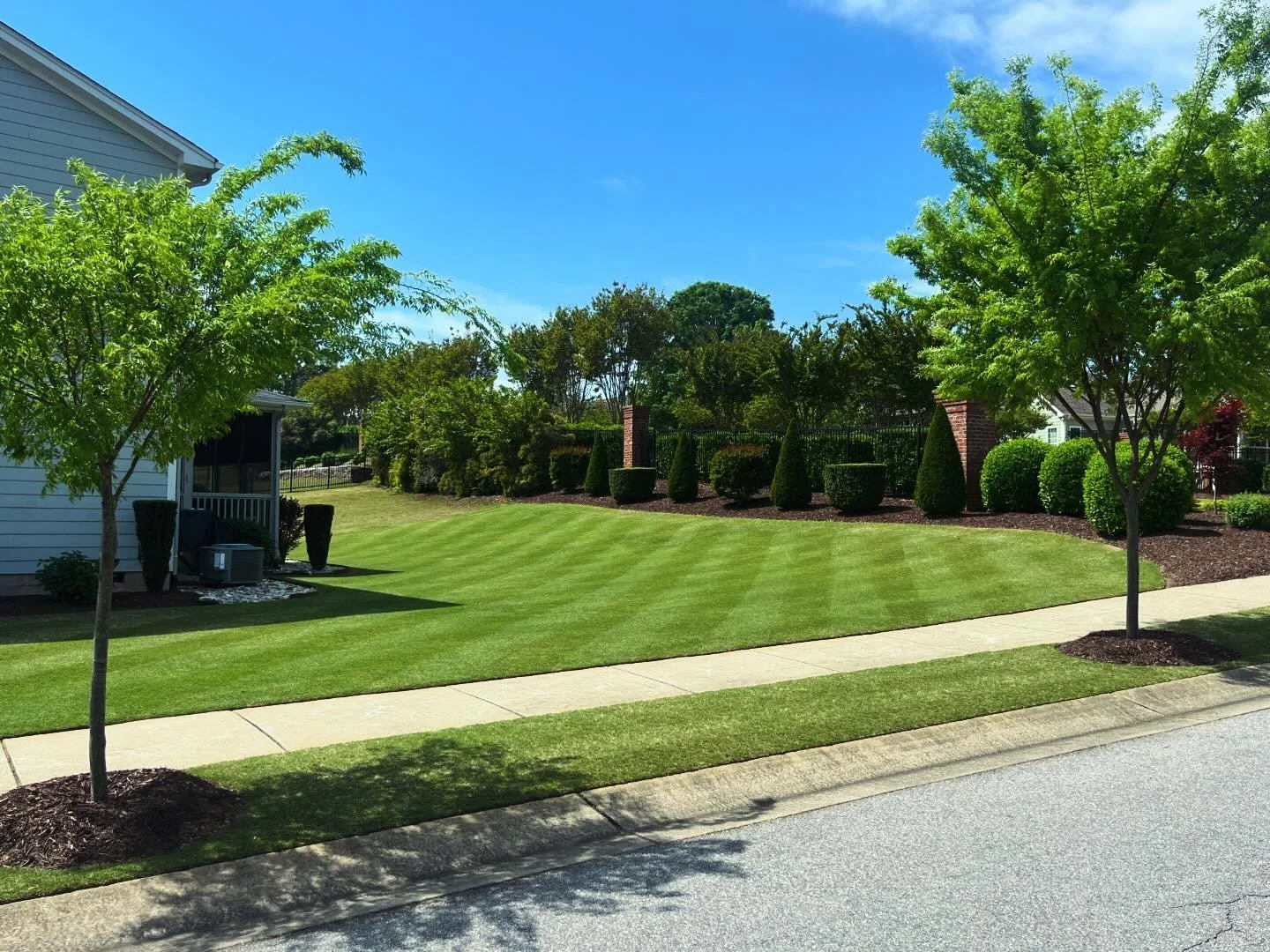 Lots of green in NC already 🙌
.
.
.
#triangleREELmowers #REELmower #CaliforniaTrimmer #CalTrimmer #turfgrass #bermudagrass #zoysiagrass #golfcourselawn #loveyourlawn #lawncare 
#CatalystREELmower #CrossoverREELmower