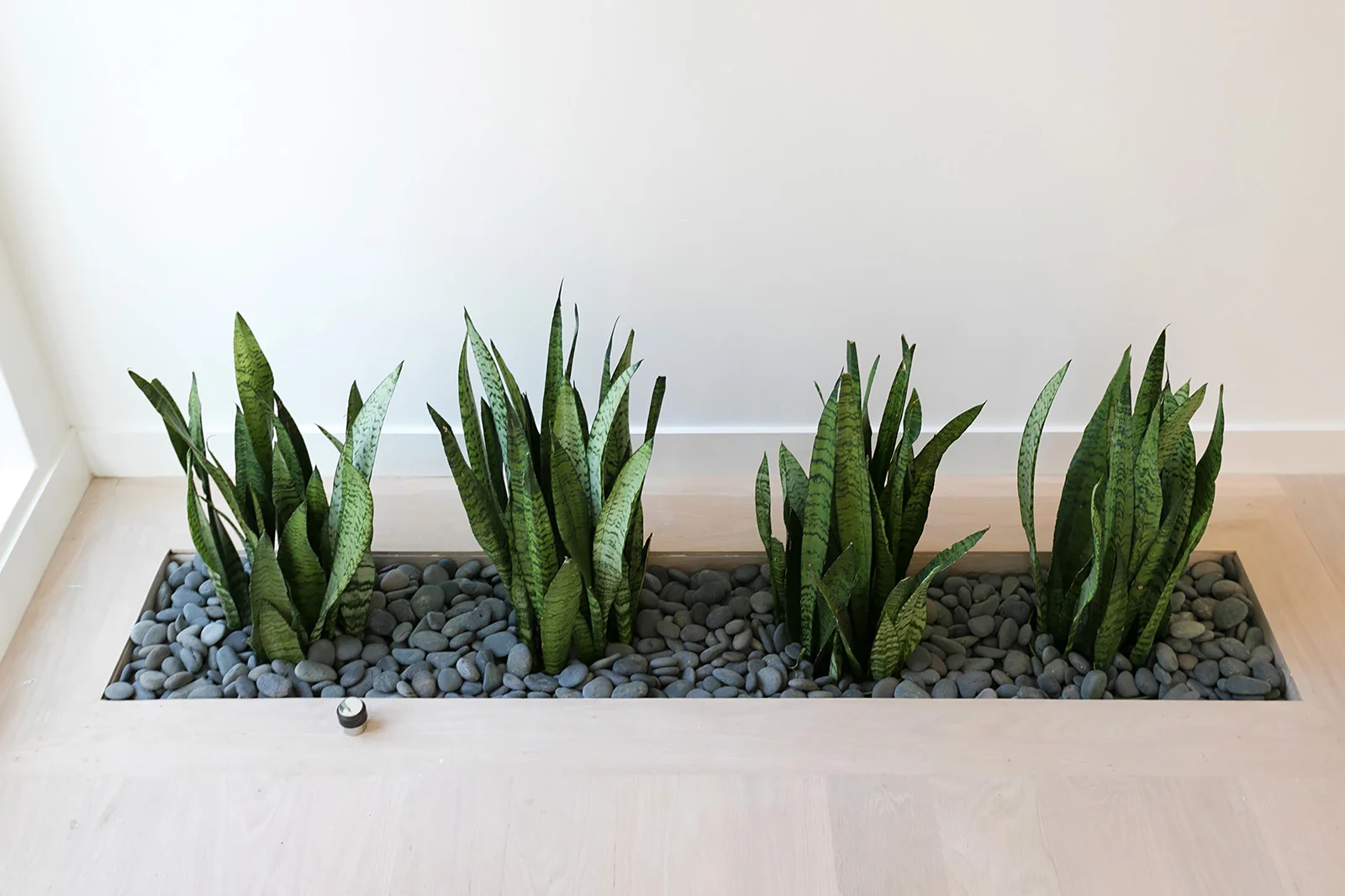 04 Planter entry.jpg