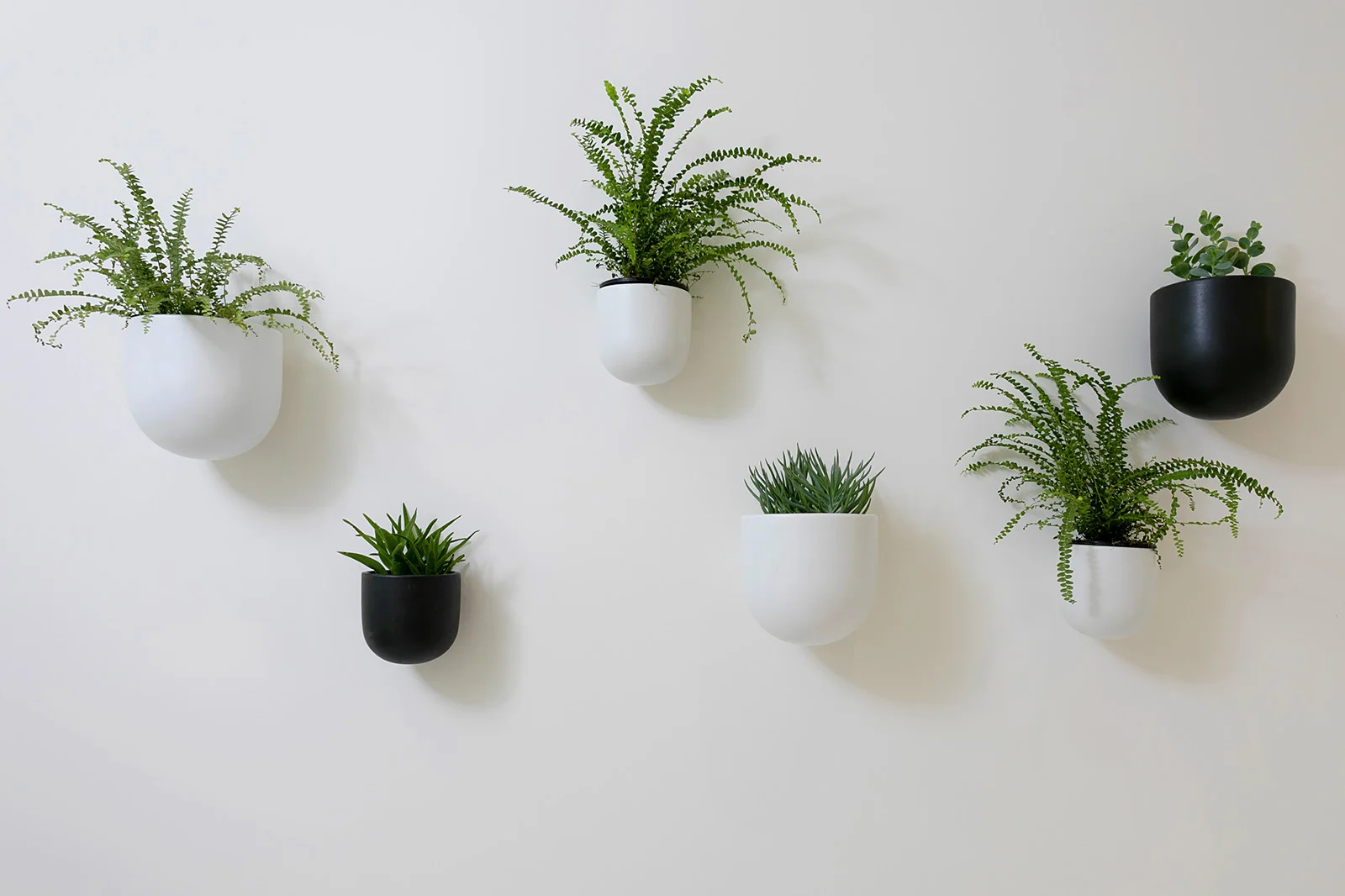 28 Plant wall.jpg