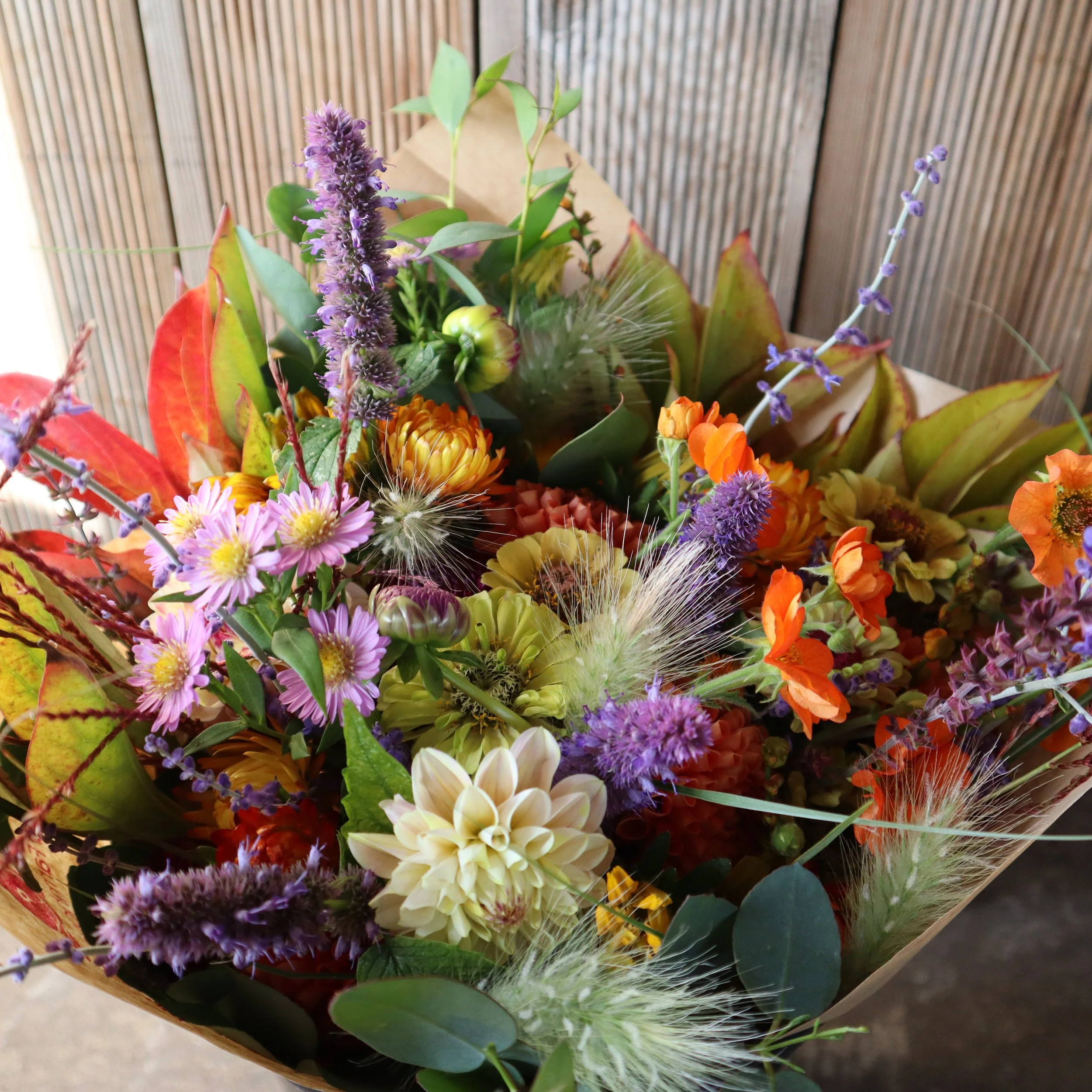 Different Subscription Close Up October 1.JPG