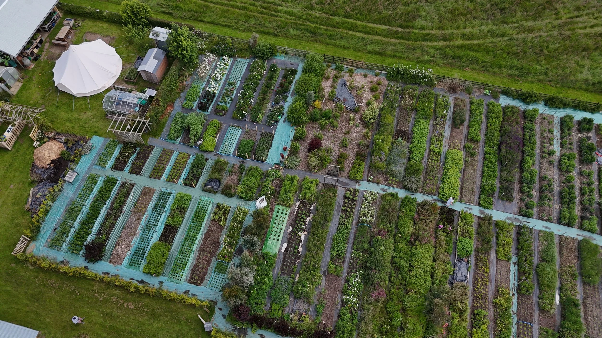 Overhead shot.jpg