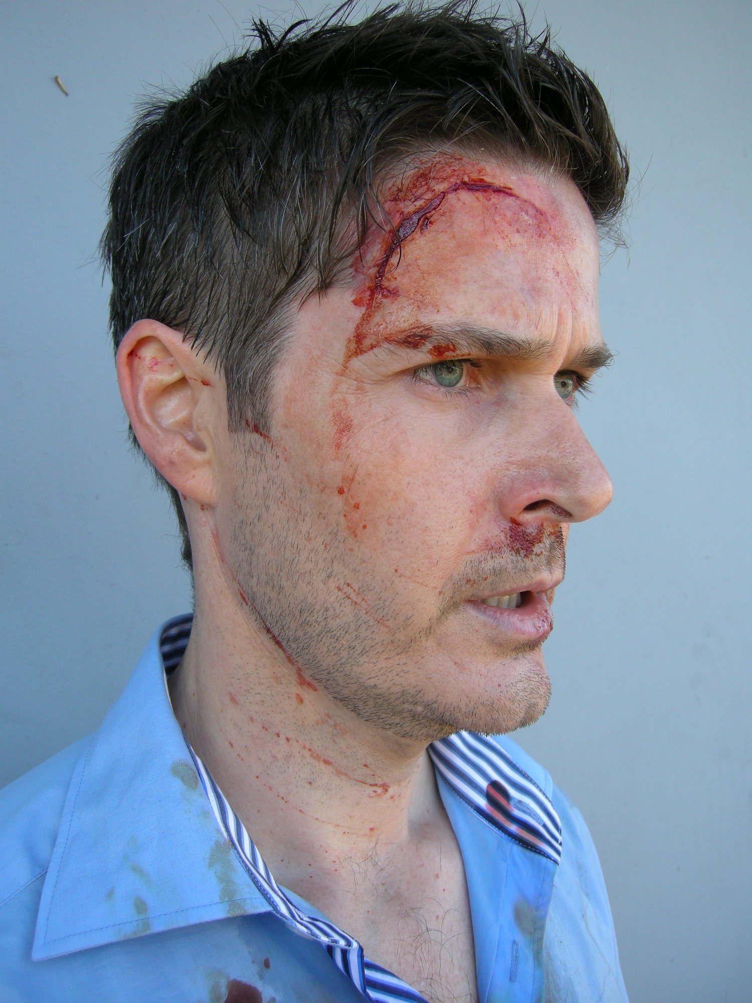  FLIGHT REDIRECTED . Director E. Vėlyvis. 2014 