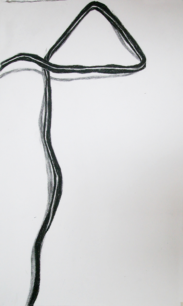  no. 21, 2002  charcoal on paper 