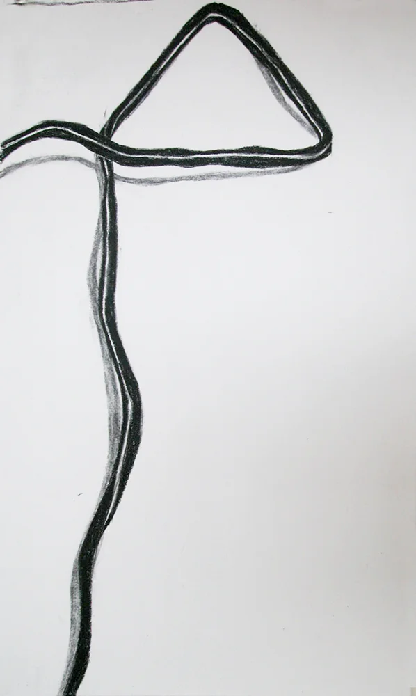 no. 21, 2002 charcoal on paper