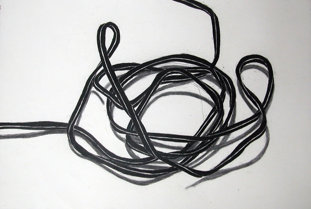 no 81, 2006 charcoal on paper