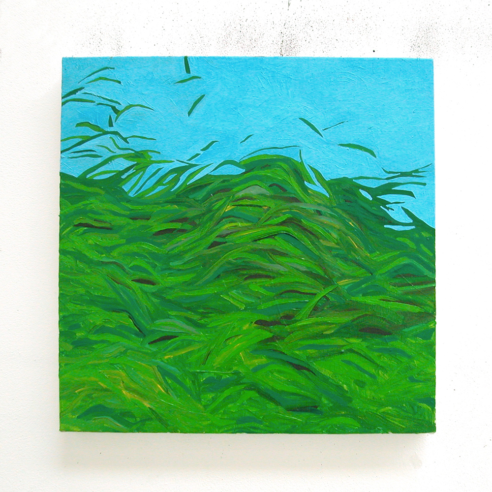  Grasssy, 2007  oil on canvas  40 x 40 cm 