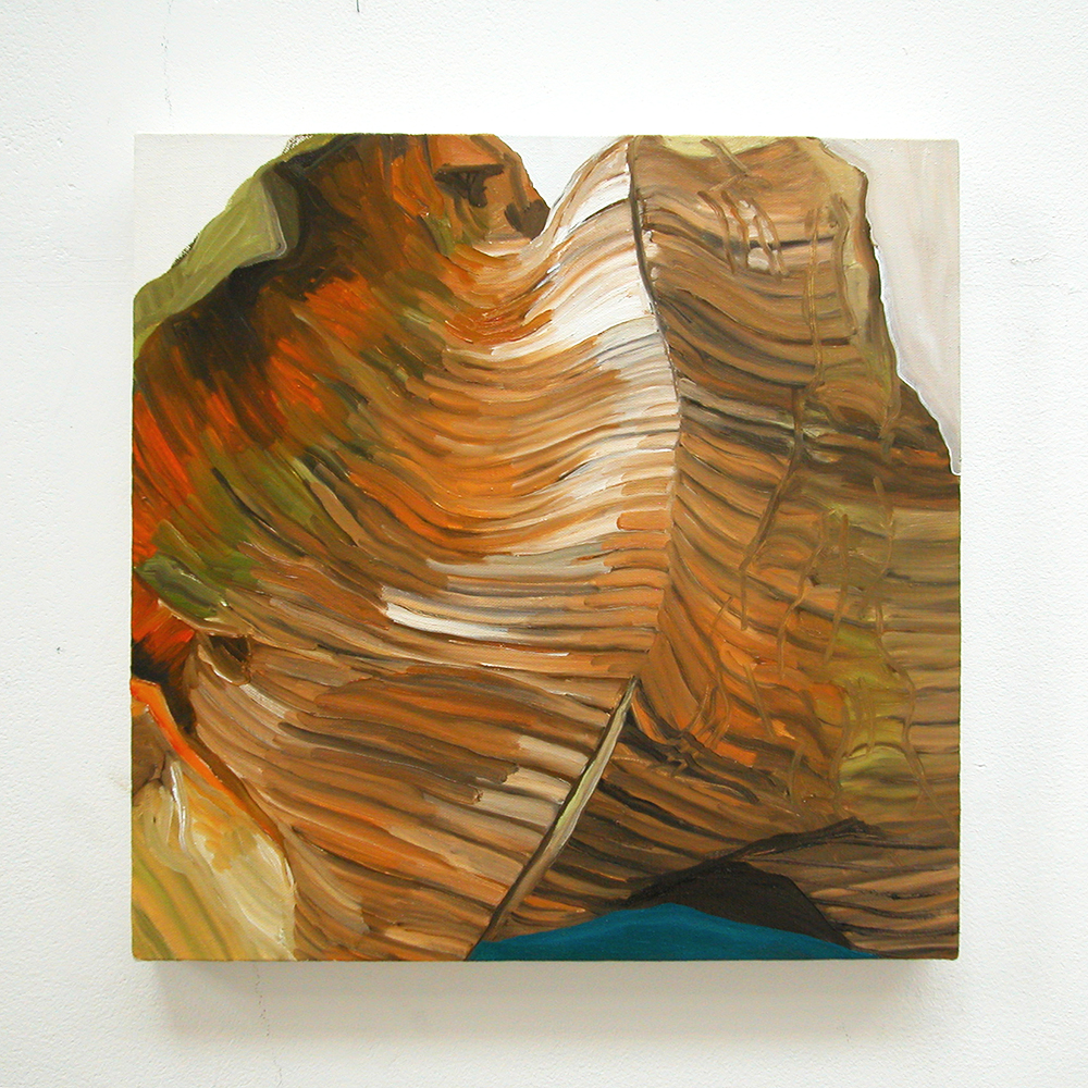  Leaf, 2007  oil on canvas  40 x 40 cm 