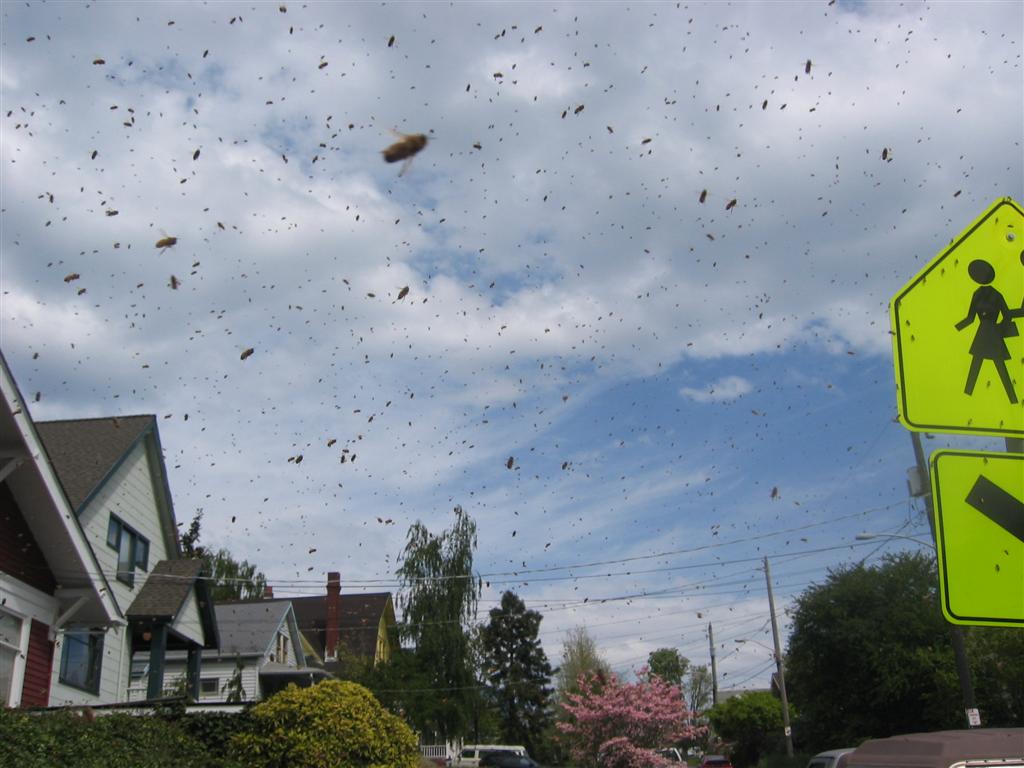 Swarm in the air