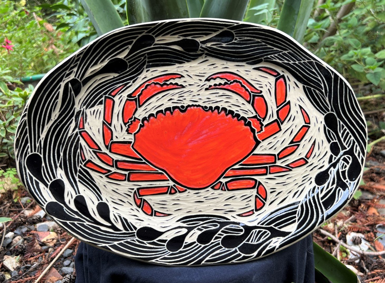 p643crab.jpeg