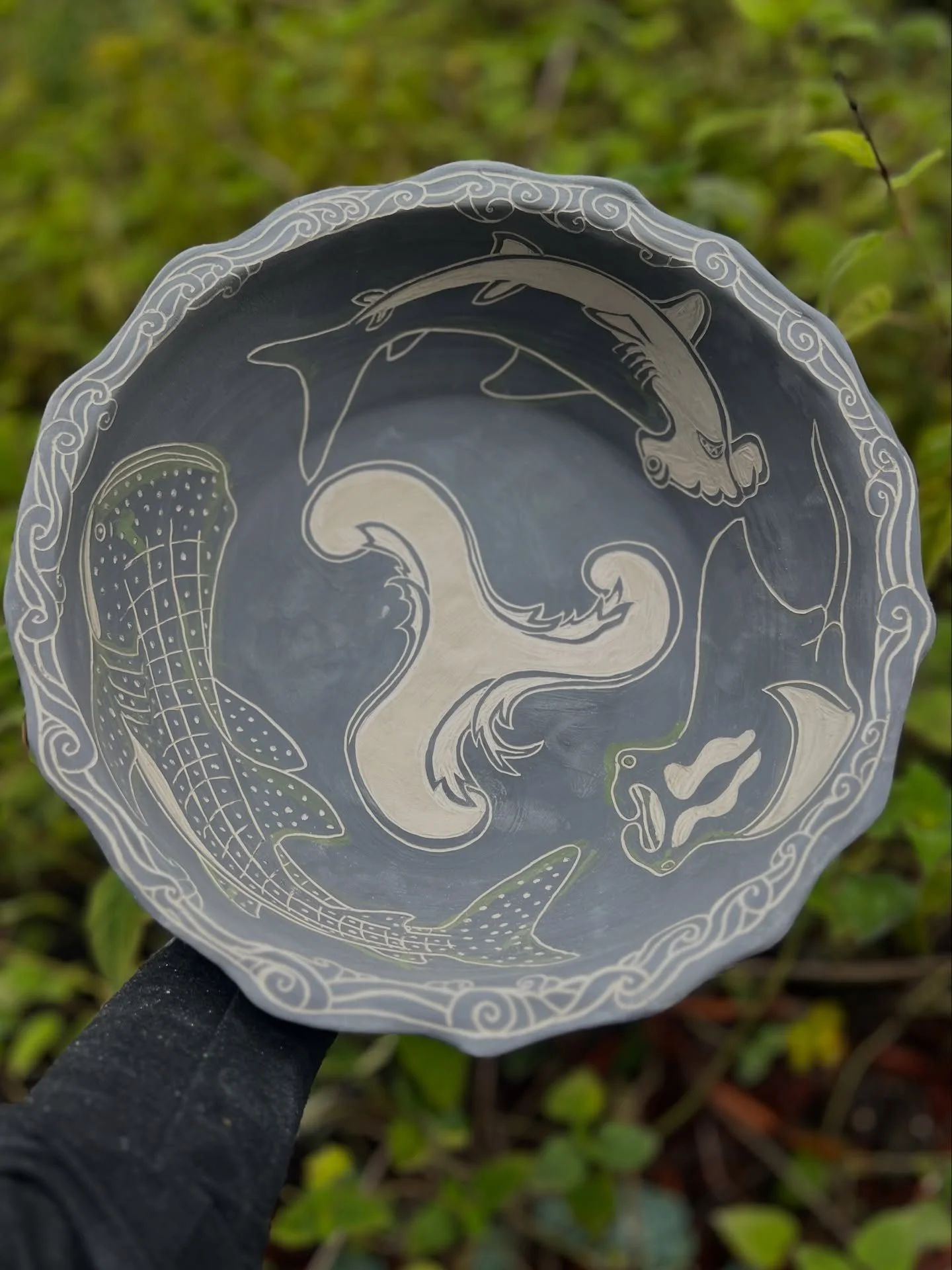 Marine migration.  Can&rsquo;t stop myself! Kiln almost filled&hellip;

#whaleshark #hammerheads #mantaray #sgraffito #sgraffitopottery #potterylife