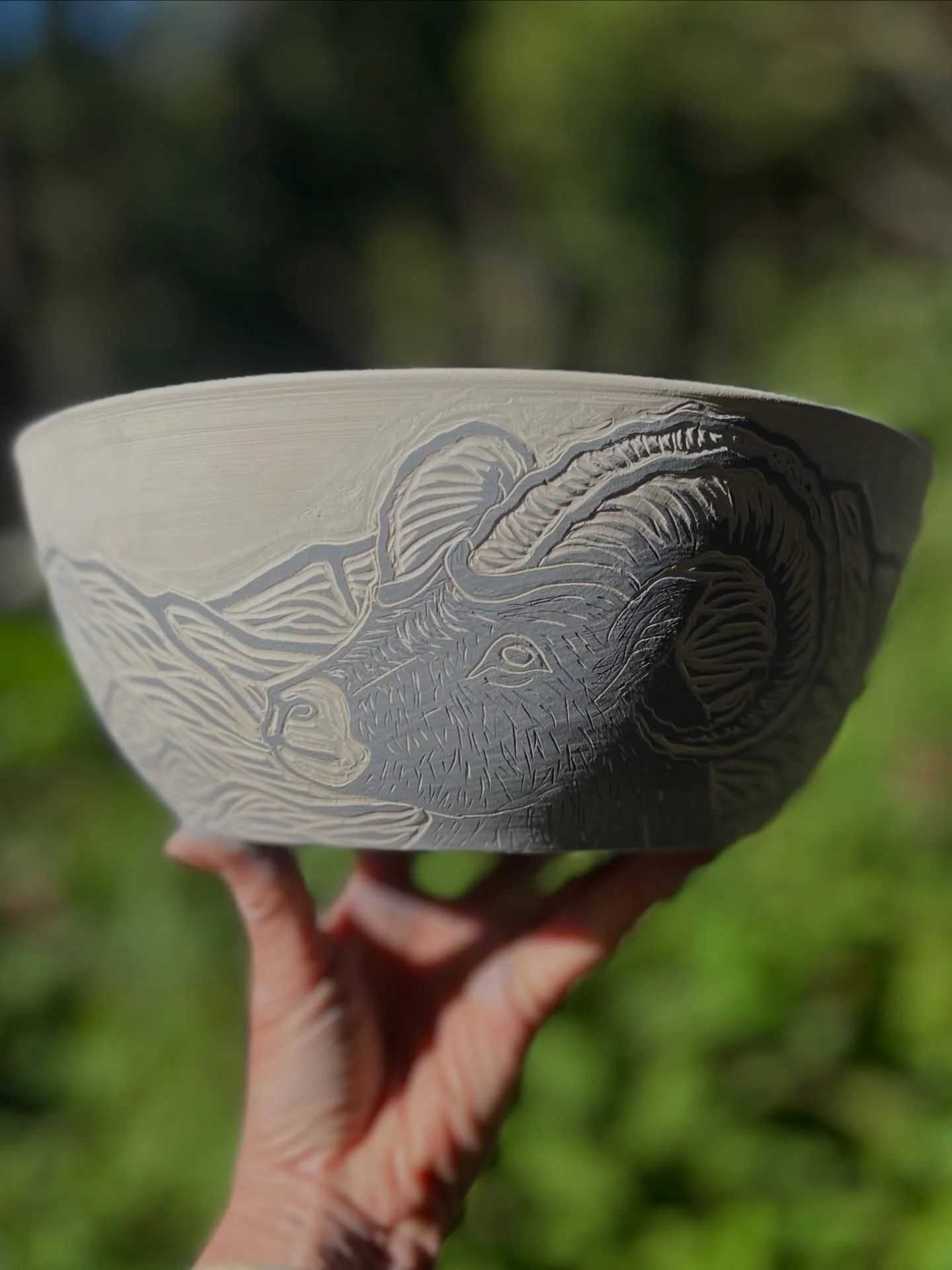 I carved this bighorn sheep bowl while listening to Michael Pollan&rsquo;s latest book about conciousness (A World Appears) after lunch with Joey on the deck with 2 cats in the sun before doing our first extraction of the year in Bodega.  I revisited