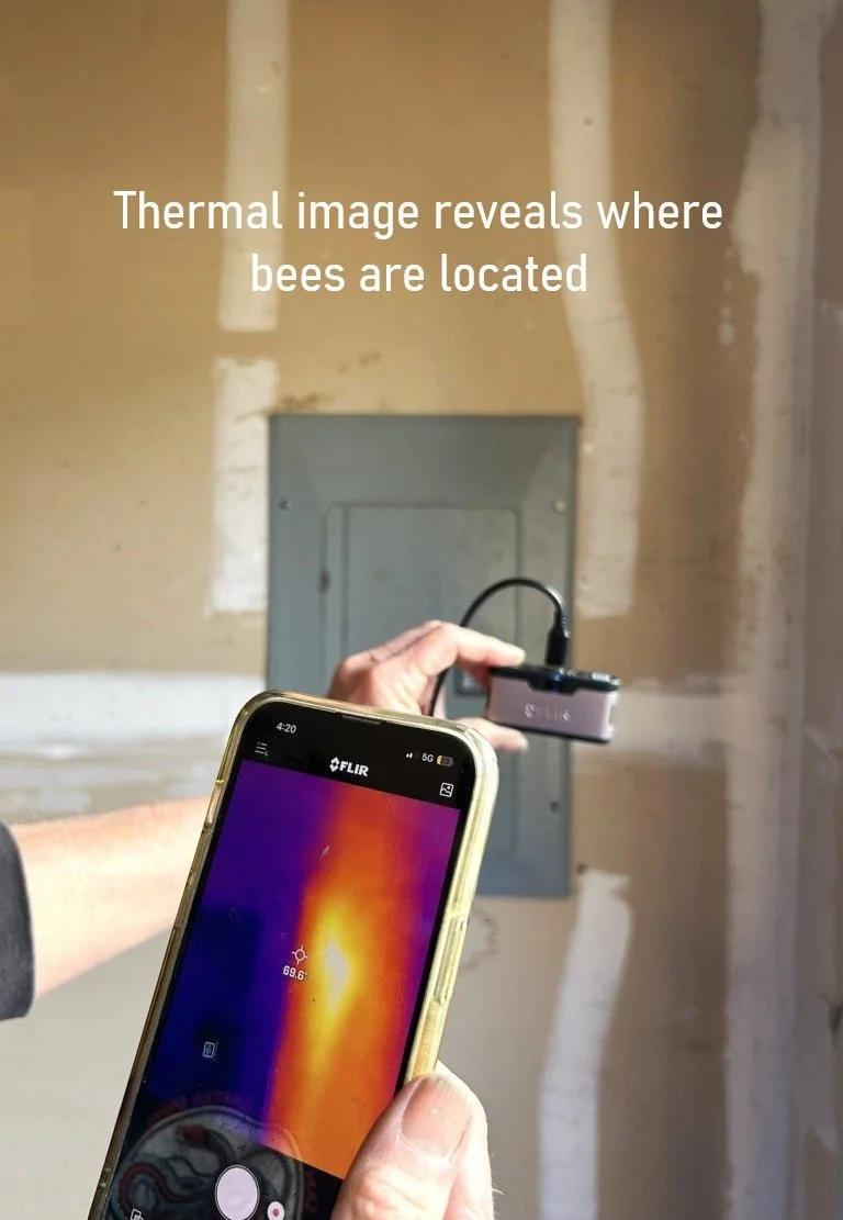 Flir Text.jpg